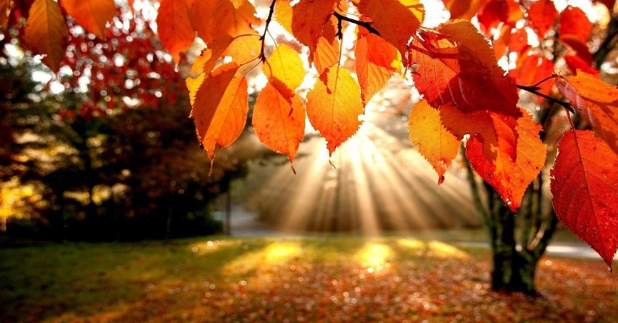 herfstvakantie