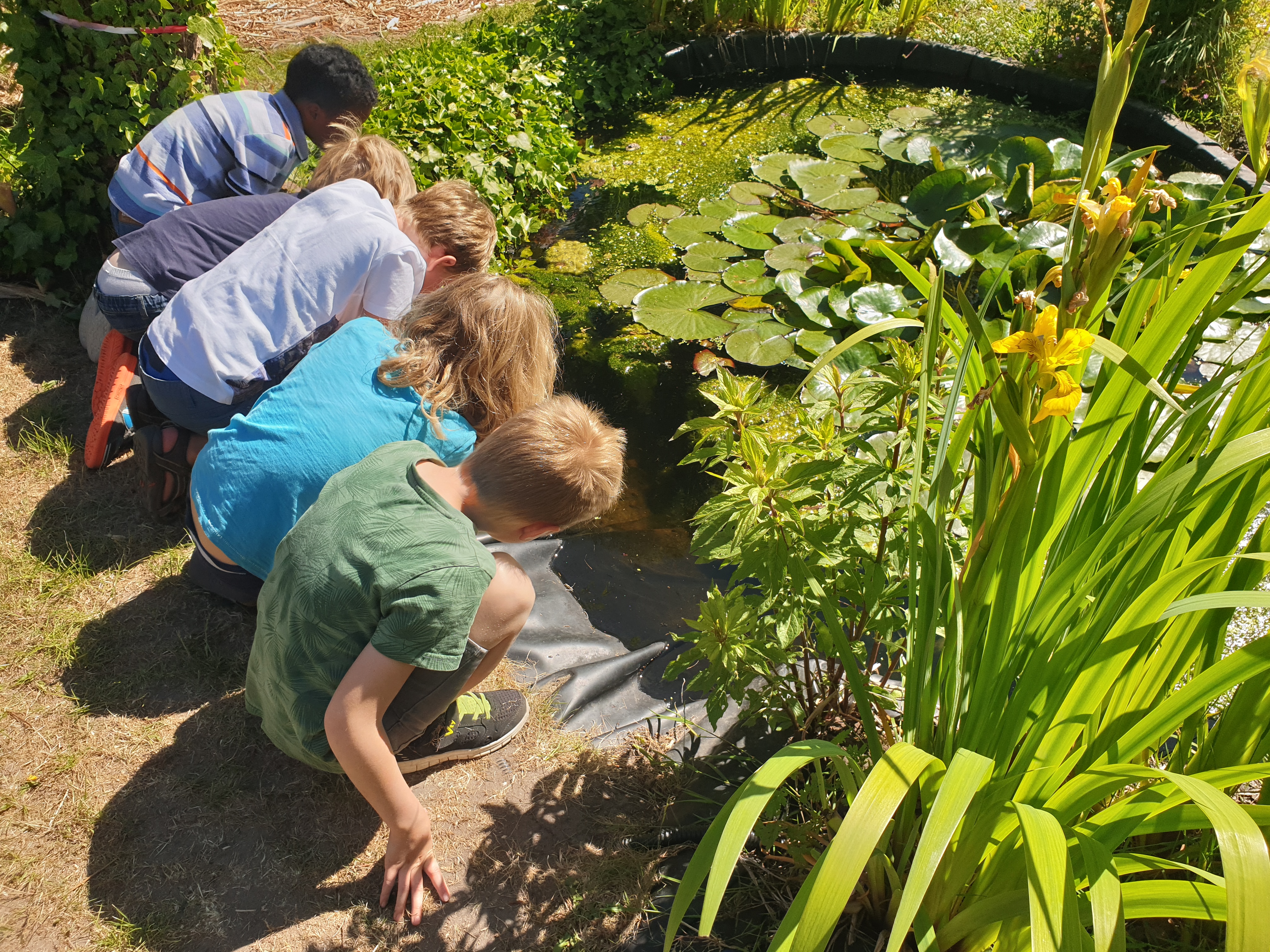 Werken in de schooltuin