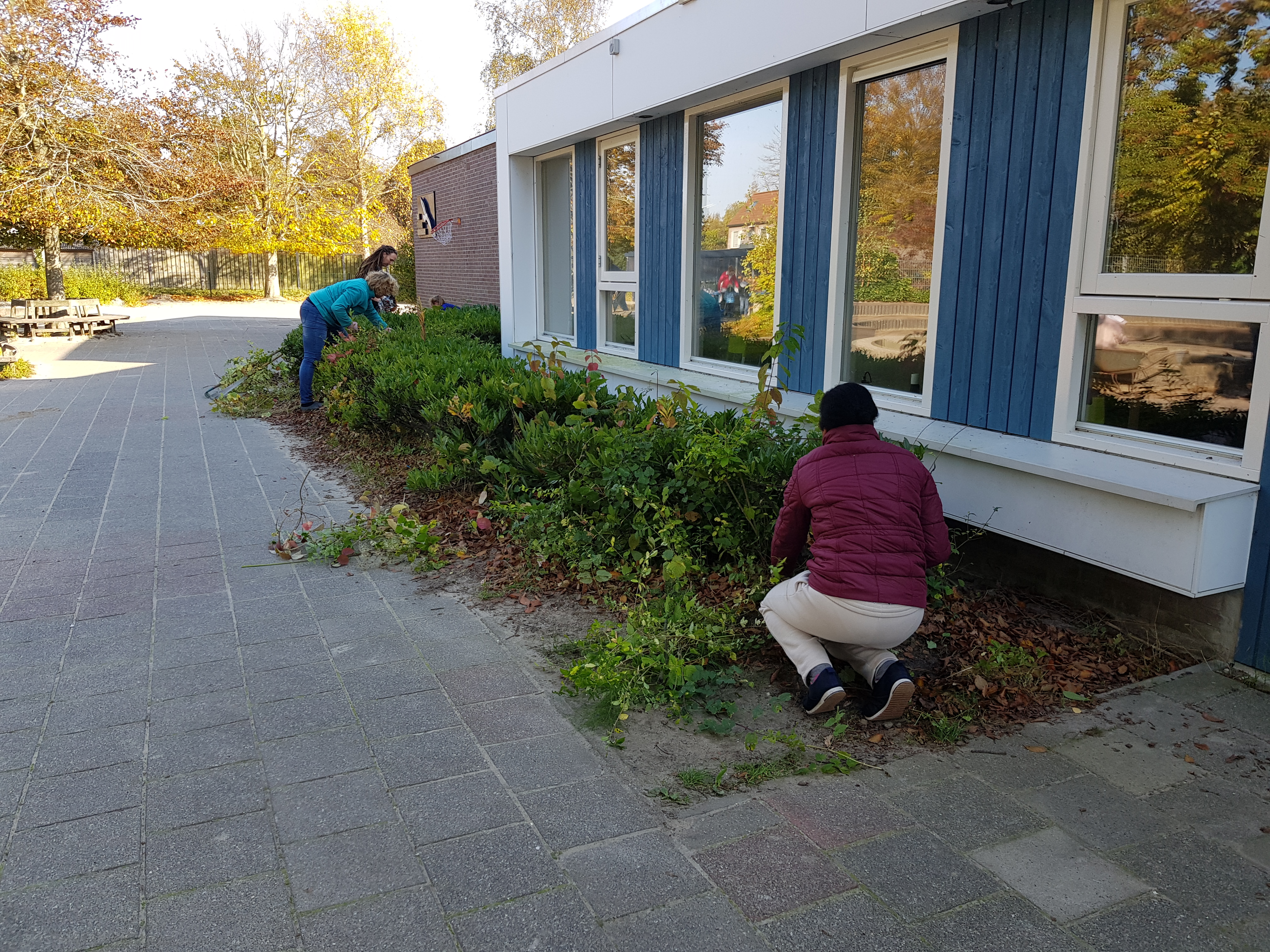 Schoolplein-tuin-werkmiddag groot succes!