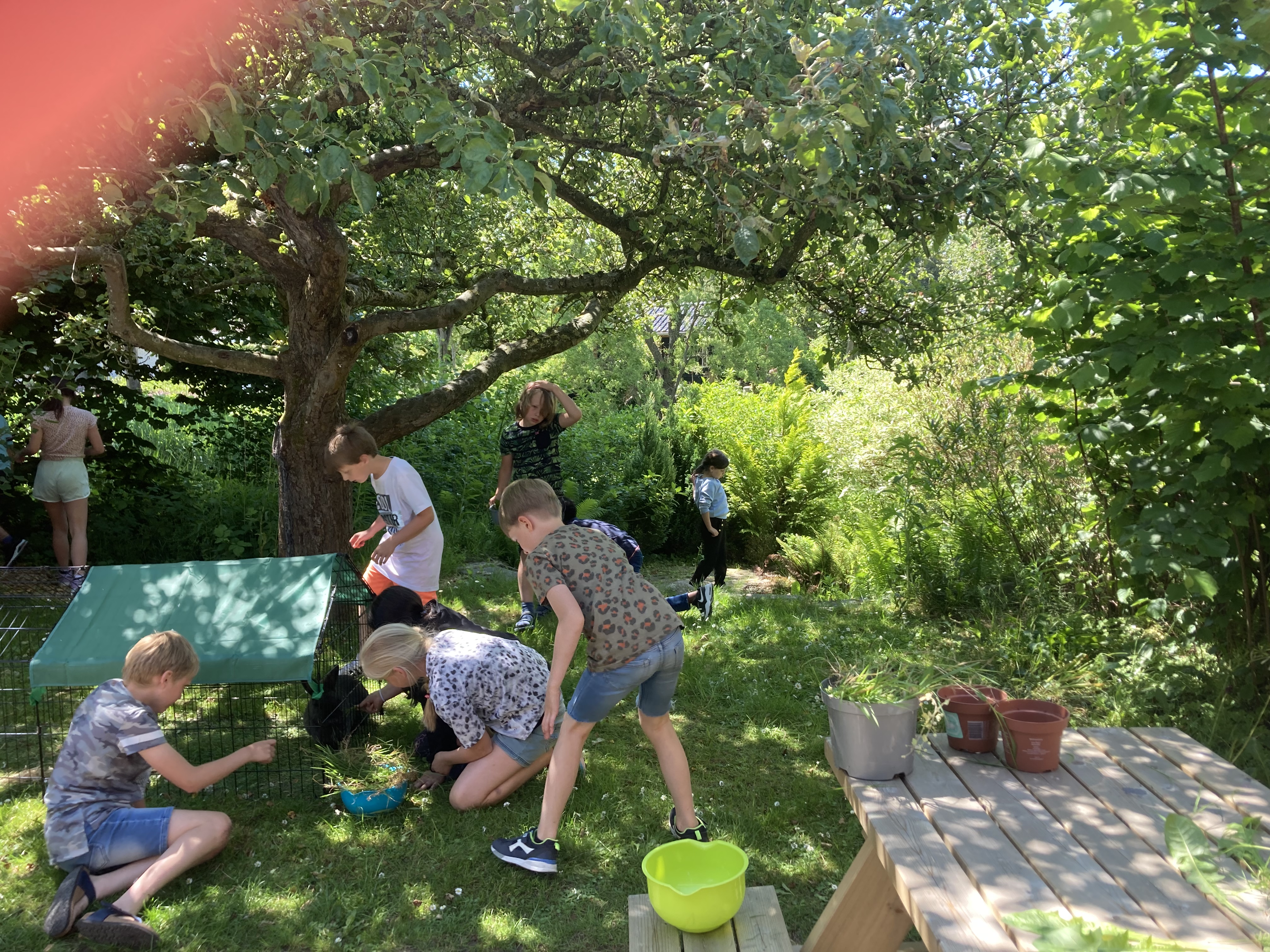 Bericht van groep 5/6