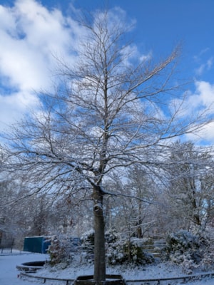 241eb8b4-676b-48c3-bdc2-e854022319d1