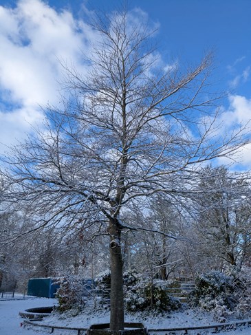 241eb8b4-676b-48c3-bdc2-e854022319d1